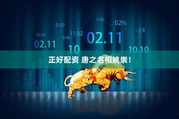 正好配资 唐之名相姚崇！
